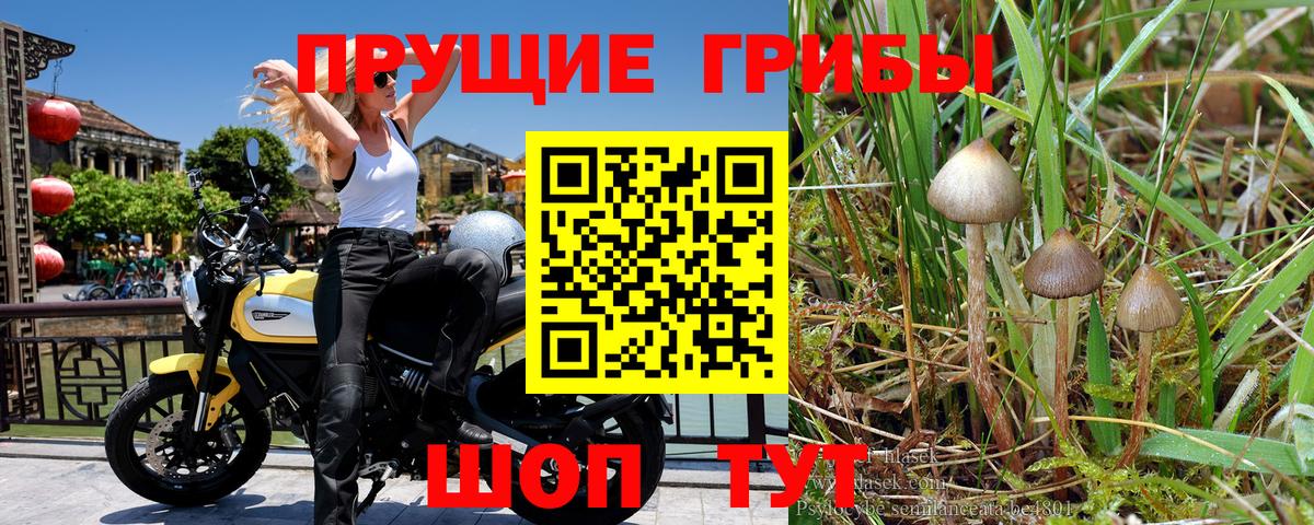 Галлюциногенные грибы Magic Shrooms Апшеронск