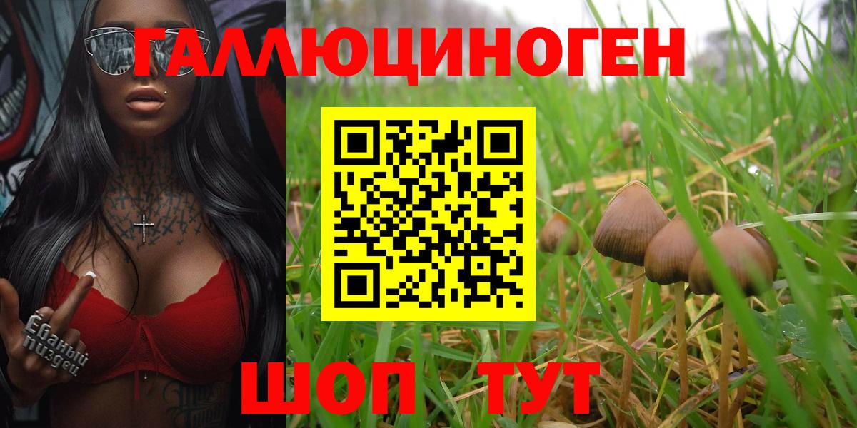 где купить   Галлюциногенные грибы мицелий  Вход с VPN  Апшеронск 